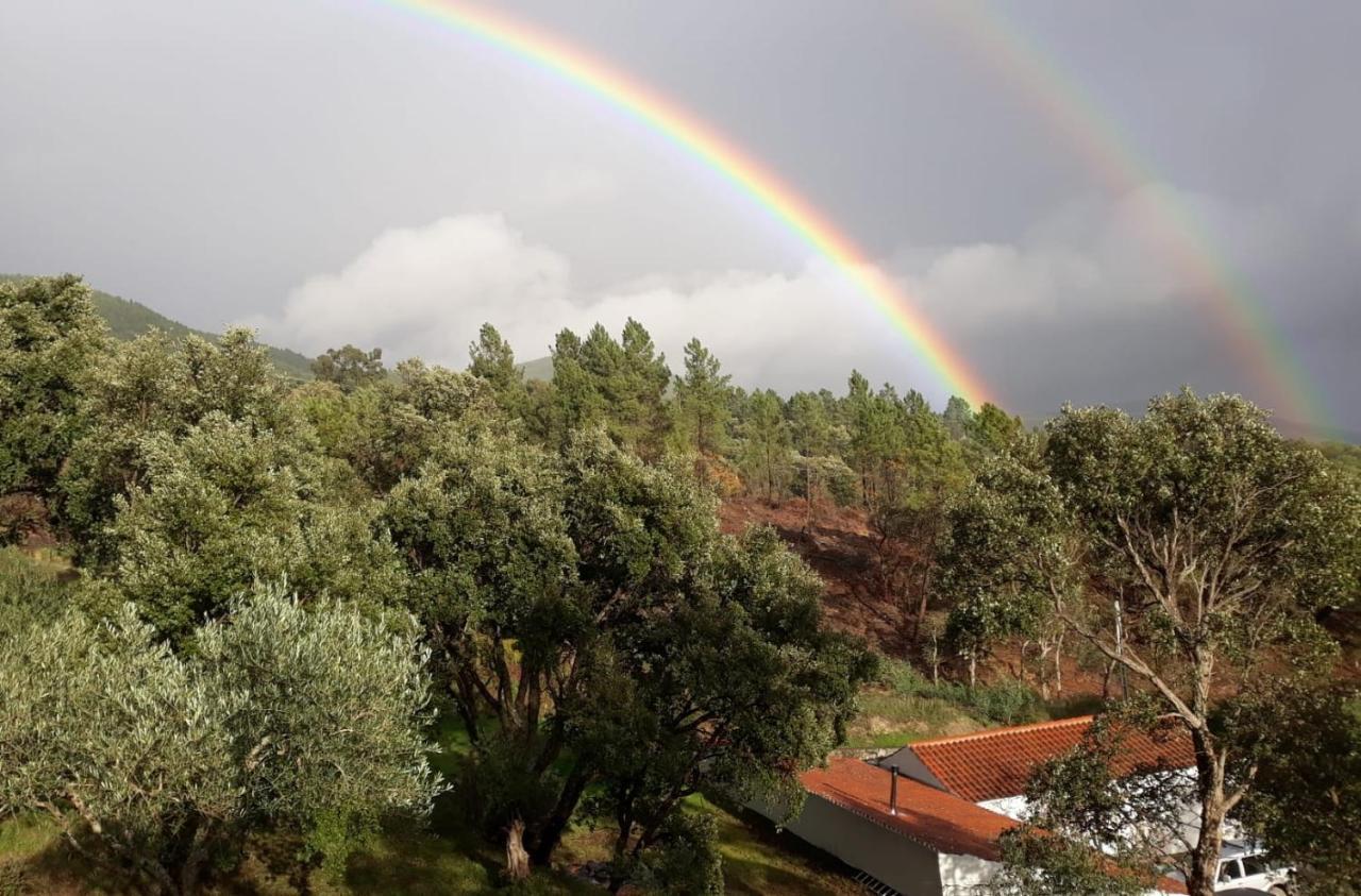 Гостевой дом Quinta Da Barroquinha Vale de Prazeres Экстерьер фото
