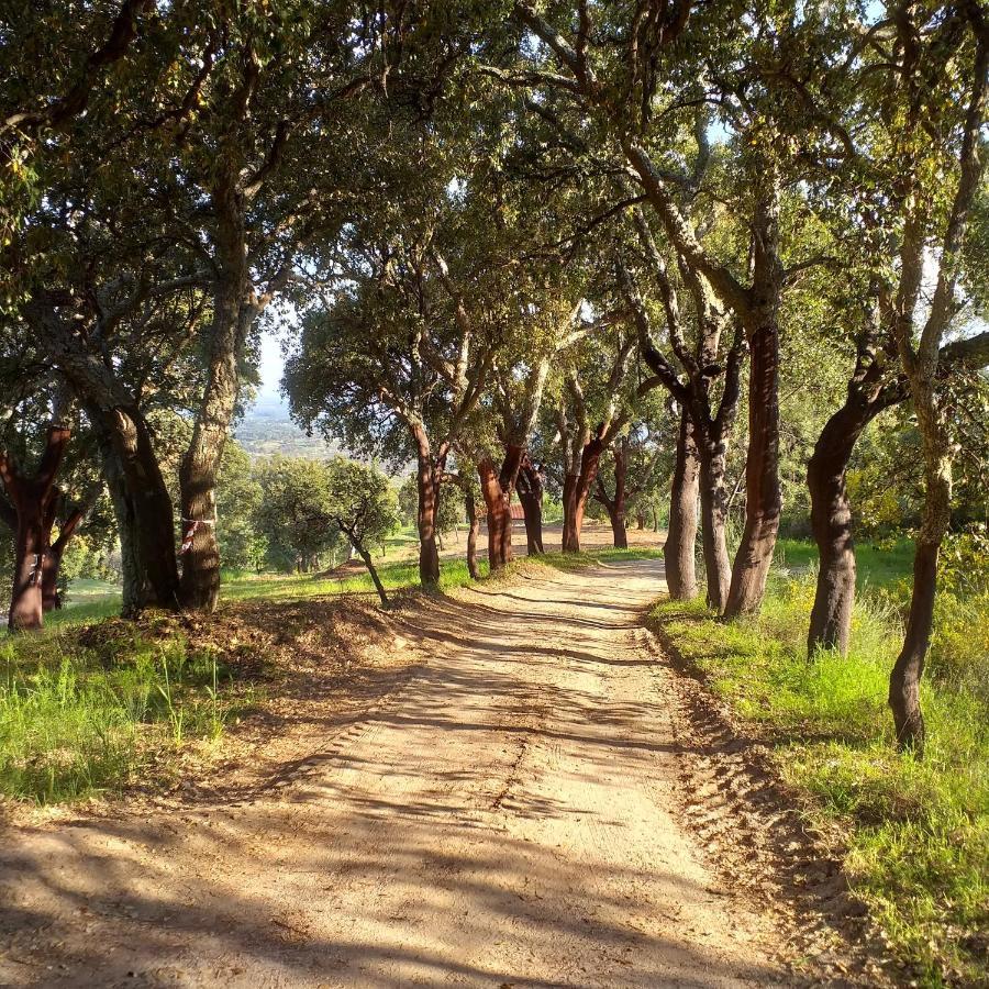 Гостевой дом Quinta Da Barroquinha Vale de Prazeres Экстерьер фото