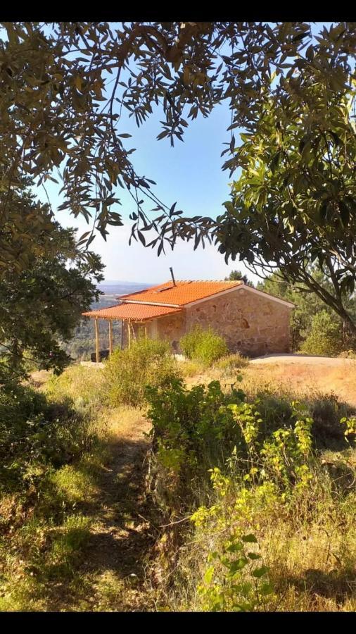 Гостевой дом Quinta Da Barroquinha Vale de Prazeres Экстерьер фото